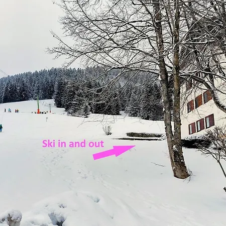 Allgaeuerle 1605 In Out An Der Skipiste Mit Hallenbad Sauna Und Tiefgarage Миссен-Вильхамс