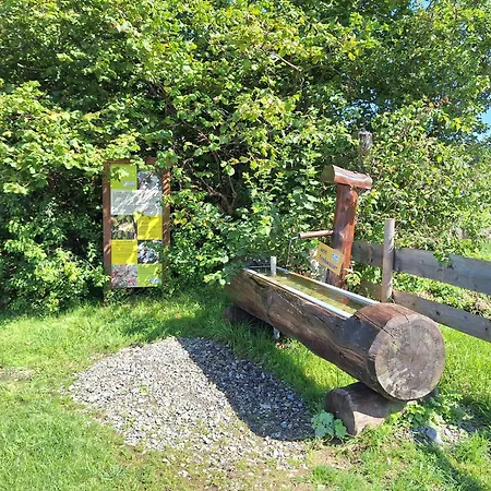 Daire Allgaeuerle 1605 In Out An Der Skipiste Mit Hallenbad Sauna Und Tiefgarage