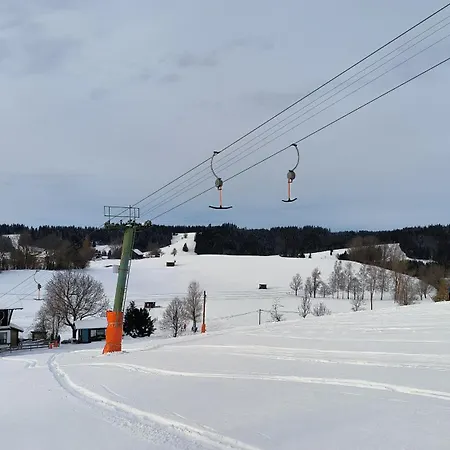 Allgaeuerle 1605 In Out An Der Skipiste Mit Hallenbad Sauna Und Tiefgarage Missen-Wilhams