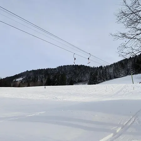 Apartament Allgaeuerle 1605 In Out An Der Skipiste Mit Hallenbad Sauna Und Tiefgarage *