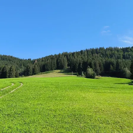 Allgaeuerle1605 Mit Hallenbad, Sauna, Tiefgarage Und Wlan Missen-Wilhams