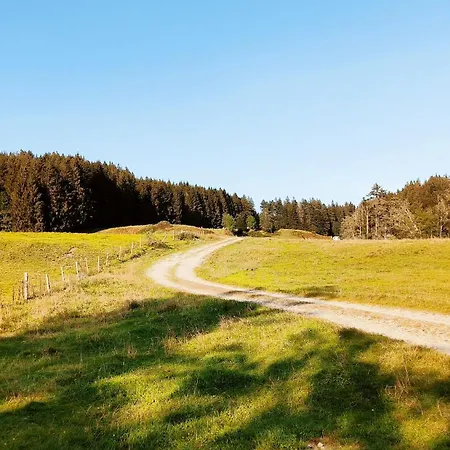 Allgaeuerle1605 Mit Hallenbad, Sauna, Tiefgarage Und Wlan Apartment