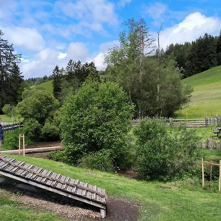 公寓 Allgaeuerle 1605 In Out An Der Skipiste Mit Hallenbad Sauna Und Tiefgarage 米森-维尔哈姆斯