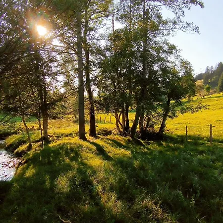 Allgaeuerle1605 Mit Hallenbad, Sauna, Tiefgarage Und Wlan Missen-Wilhams